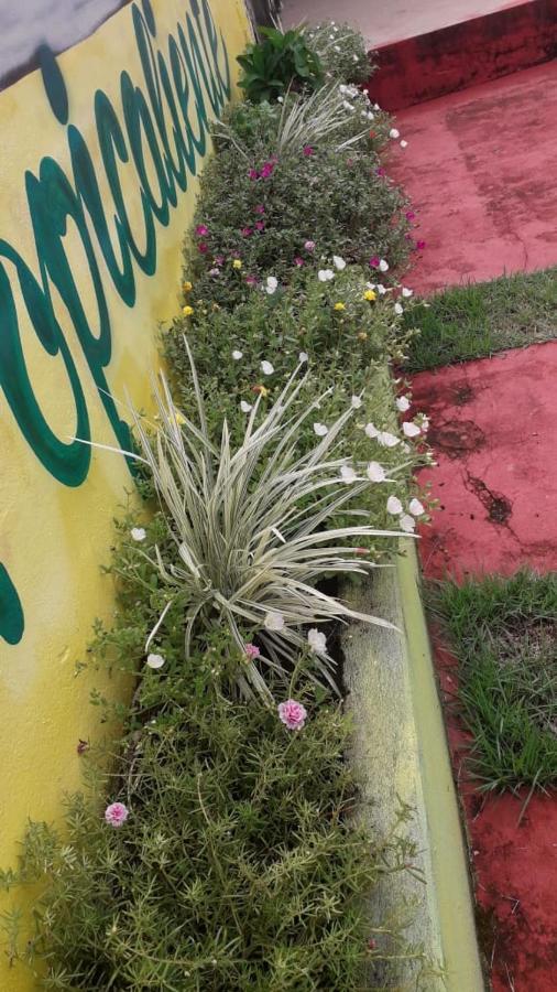 Pousada Tropicaliente Alter do Chão Kültér fotó